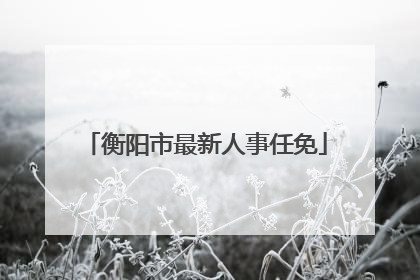 衡阳市最新人事任免