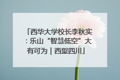 西华大学校长李秋实：乐山“智慧低空”大有可为｜西望四川