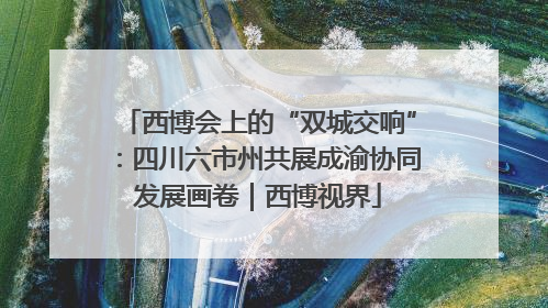 西博会上的“双城交响”：四川六市州共展成渝协同发展画卷｜西博视界
