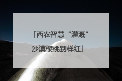 西农智慧“灌溉” 沙漠樱桃别样红