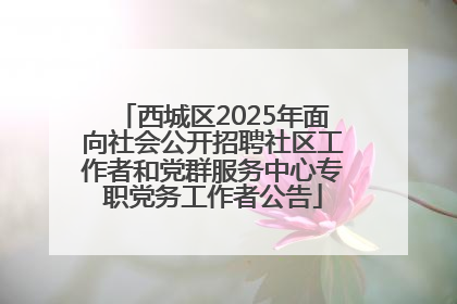 西城区2025年面向社会公开招聘社区工作者和党群服务中心专职党务工作者公告