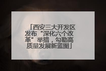 西安三大开发区发布“深化六个改革”举措，勾勒高质量发展新蓝图