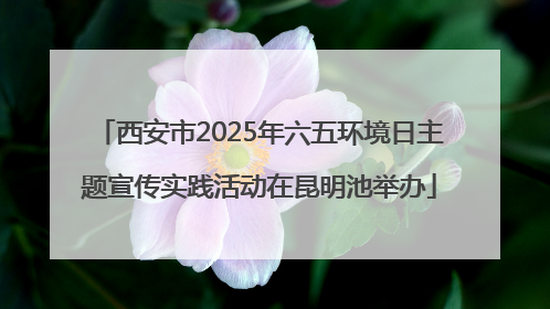 西安市2025年六五环境日主题宣传实践活动在昆明池举办