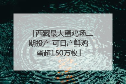 西藏最大蛋鸡场二期投产 可日产鲜鸡蛋超150万枚