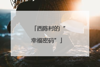 西陈村的“幸福密码”
