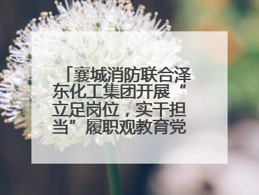 襄城消防联合泽东化工集团开展“立足岗位，实干担当”履职观教育党建联学活动