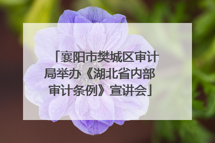 襄阳市樊城区审计局举办《湖北省内部审计条例》宣讲会