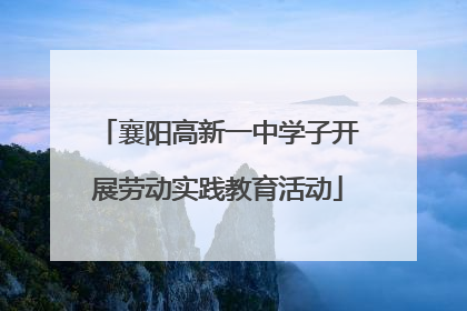 襄阳高新一中学子开展劳动实践教育活动