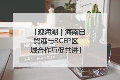 观海潮｜海南自贸港与RCEP区域合作互促共进