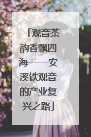 观音茶韵香飘四海——安溪铁观音的产业复兴之路