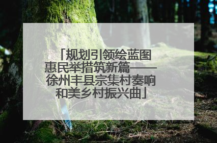 规划引领绘蓝图 惠民举措筑新篇——徐州丰县宗集村奏响和美乡村振兴曲
