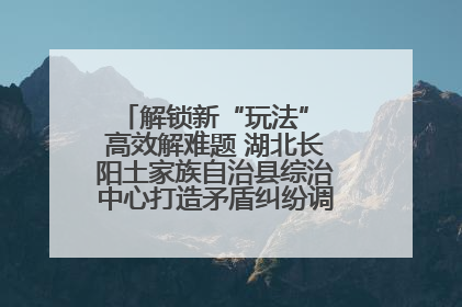 解锁新“玩法” 高效解难题 湖北长阳土家族自治县综治中心打造矛盾纠纷调处“终点站”