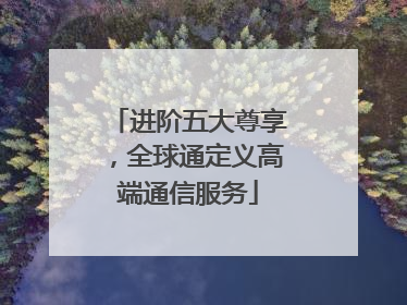 进阶五大尊享，全球通定义高端通信服务