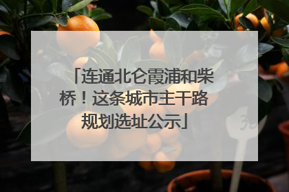 连通北仑霞浦和柴桥！这条城市主干路规划选址公示