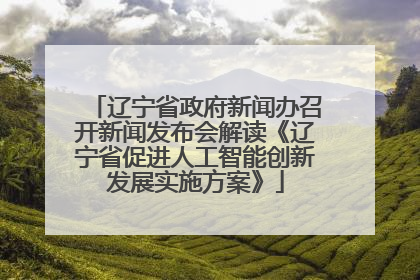 辽宁省政府新闻办召开新闻发布会解读《辽宁省促进人工智能创新发展实施方案》