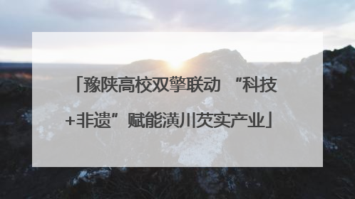 豫陕高校双擎联动 “科技+非遗”赋能潢川芡实产业
