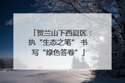 贺兰山下西夏区：执“生态之笔” 书写“绿色答卷”
