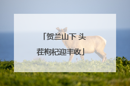 贺兰山下 头茬枸杞迎丰收