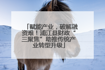 赋能产业，破解融资难！浦江县财政“三聚焦”助推传统产业转型升级