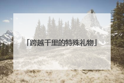 跨越千里的特殊礼物