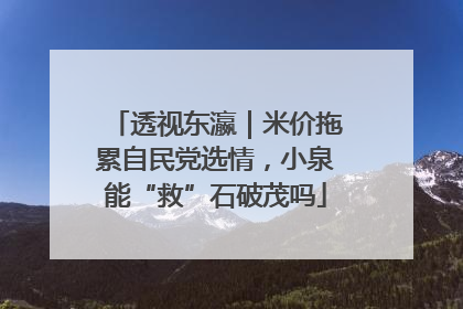 透视东瀛｜米价拖累自民党选情，小泉能“救”石破茂吗