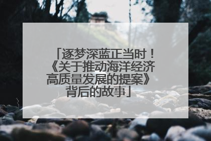 逐梦深蓝正当时！《关于推动海洋经济高质量发展的提案》背后的故事