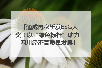 通威再次斩获ESG大奖！以“绿色标杆”助力四川经济高质量发展