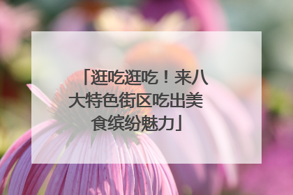 逛吃逛吃！来八大特色街区吃出美食缤纷魅力
