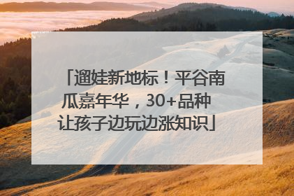 遛娃新地标！平谷南瓜嘉年华，30+品种让孩子边玩边涨知识