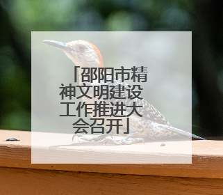 邵阳市精神文明建设工作推进大会召开