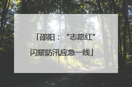邵阳：“志愿红”闪耀防汛应急一线