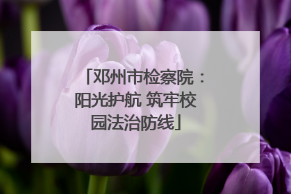 邓州市检察院：阳光护航 筑牢校园法治防线