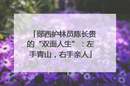郧西护林员陈长贵的“双面人生”：左手青山，右手亲人