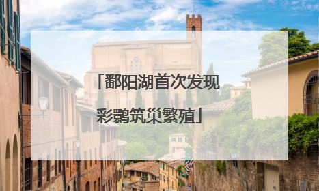 鄱阳湖首次发现彩鹮筑巢繁殖