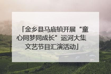 金乡县马庙镇开展“童心同梦同成长”运河大集文艺节目汇演活动