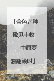 金色芒种·豫见丰收——中原麦浪翻滚时