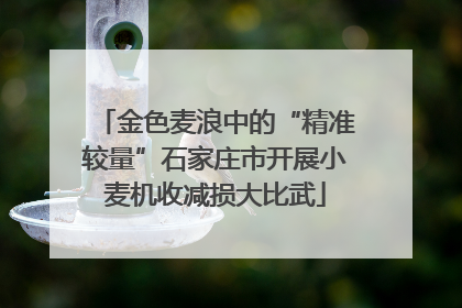 金色麦浪中的“精准较量”石家庄市开展小麦机收减损大比武