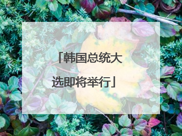 韩国总统大选即将举行
