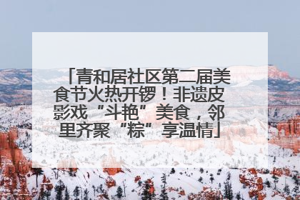 青和居社区第二届美食节火热开锣！非遗皮影戏“斗艳”美食，邻里齐聚“粽”享温情