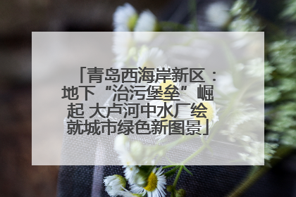 青岛西海岸新区：地下“治污堡垒”崛起 大卢河中水厂绘就城市绿色新图景