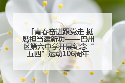 青春奋进跟党走 挺膺担当建新功——巴州区第六中学开展纪念“五四”运动106周年主题团日活动暨新团员入团仪式