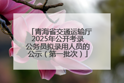 青海省交通运输厅2025年公开考录公务员拟录用人员的公示（第一批次）