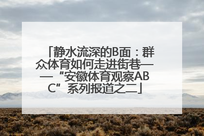 静水流深的B面：群众体育如何走进街巷——“安徽体育观察ABC”系列报道之二