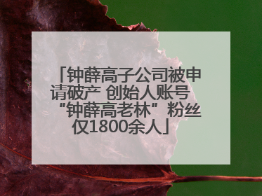 钟薛高子公司被申请破产 创始人账号“钟薛高老林”粉丝仅1800余人