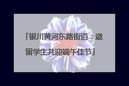 银川黄河东路街道：邀留学生共迎端午佳节