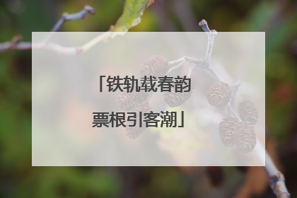铁轨载春韵 票根引客潮