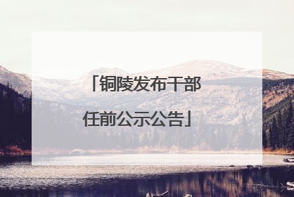 铜陵发布干部任前公示公告