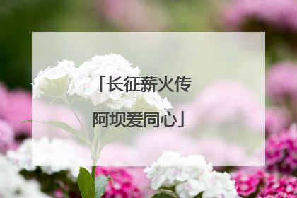 长征薪火传 阿坝爱同心