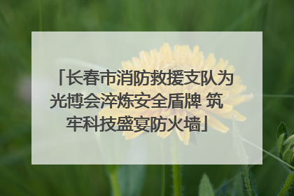长春市消防救援支队为光博会淬炼安全盾牌 筑牢科技盛宴防火墙