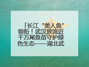 长江“美人鱼”领衔！武汉放流近千万尾鱼苗守护绿色生态——湖北武汉青鱼原种场参加2025年“全国放鱼日”增殖放流活动